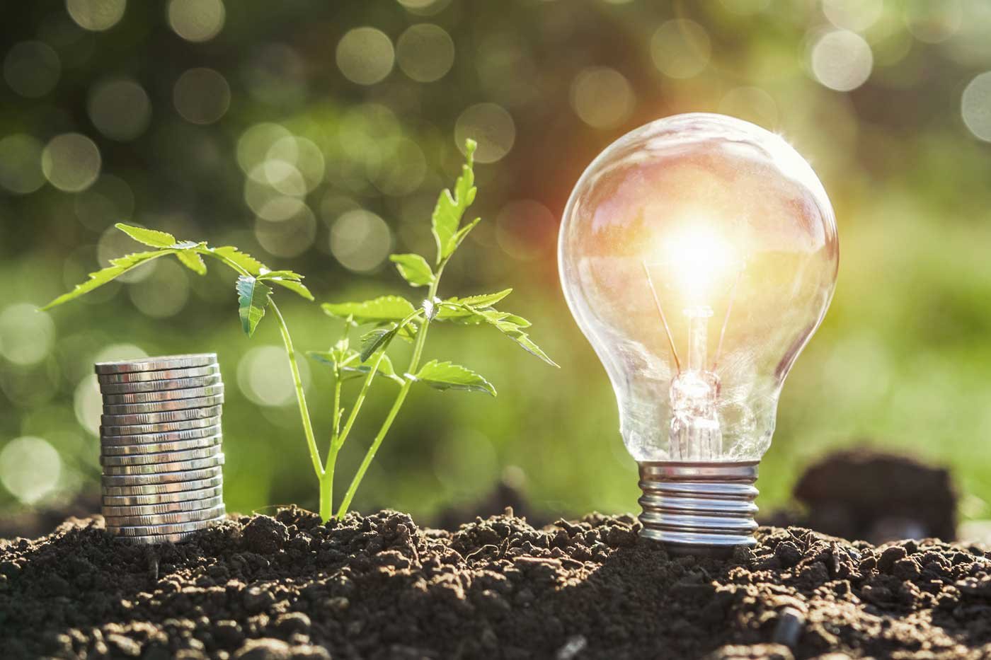 Financez votre rénovation énergétique grâce aux aides de l'État