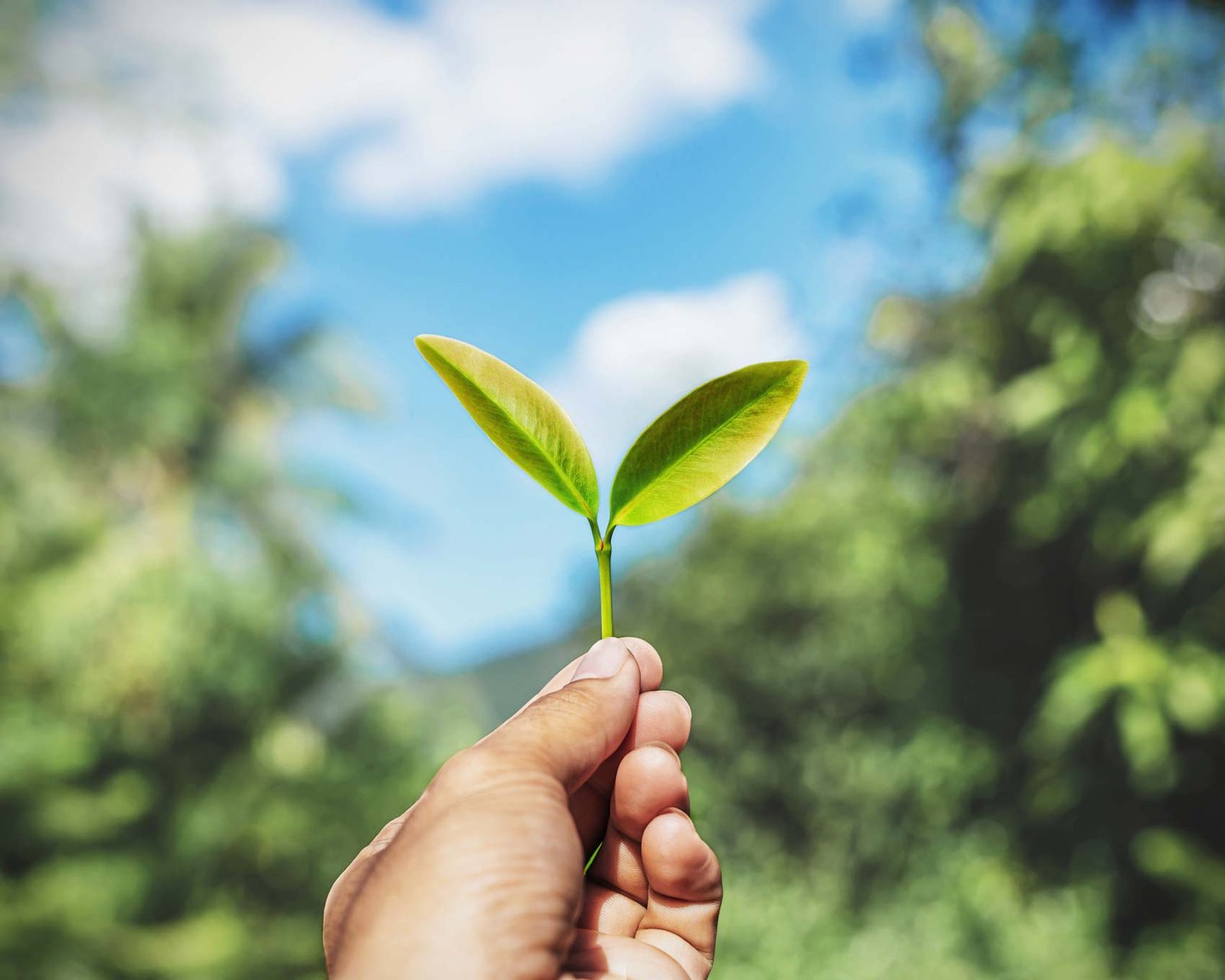 Une entreprise locale engagée pour votre confort et votre performance énergétique